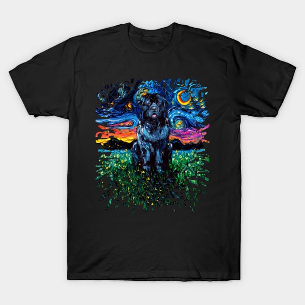 Newfoundland Night (splash version) T-Shirt by sagittariusgallery